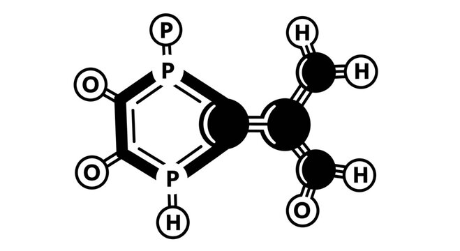 Detailed molecular structure of nucleotide base.