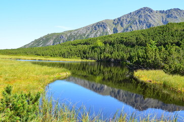 Fototapeta premium Beautiful summer landscape of the High Tatras with green mountains and clear blue sky. Scenic natural background perfect for travel, tourism, and outdoor adventure concepts.