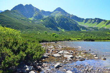 Fototapeta premium Mountain landscape background on a sunny summer day, featuring clear blue sky, bright sunlight, and natural scenery with rolling hills and distant peaks. The image captures a peaceful atmosphere