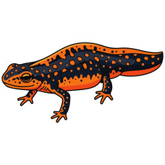 Fototapeta premium Fire Bellied Newt Flat Cartoon Vector Illustration
