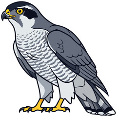 Fototapeta premium Flat Cartoon Peregrine Falcon Vector Illustration