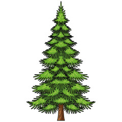 Fototapeta premium Pine Tree Hand Drawn Cartoon Vector Illustration