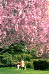 Una abuela con sus dos nietas en el parque