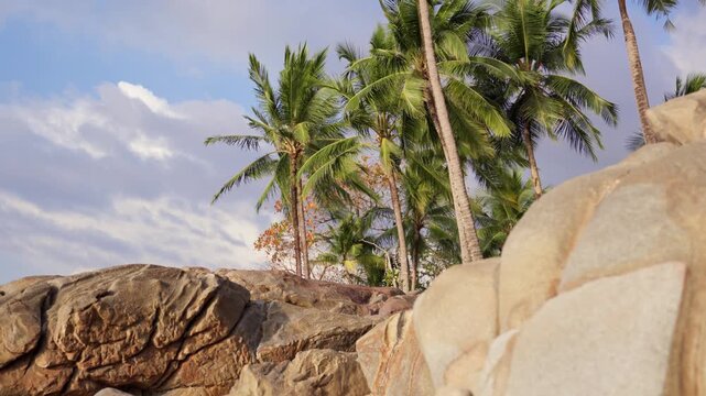 Kokospalmen im Wind an tropischem Felsenstrand in SlowMo