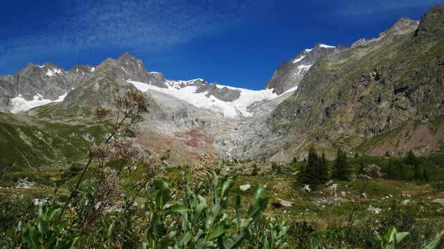 Leaves and branches are swaying in the wind in Veny Valley, Aosta Valley, Italy. High mountain with a big glacier and waterfalls on the background, with blue sky and white clouds.