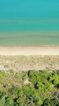 Aerial shot of a pristine sandy beach and turquoise sea bordered by lush coastal vegetation in the Isola Varano nature reserve, Italy.