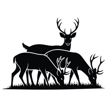 Buck and doe deer grazing in field silhouette vector showing wild animals standing on grass for nature hunting design