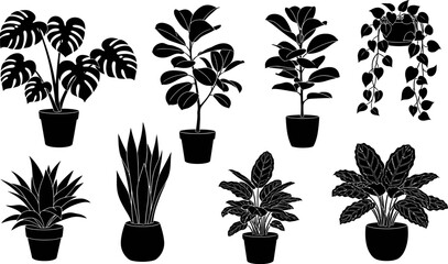 set of various houseplants in pots for decoration and interior design © Pixel Verses