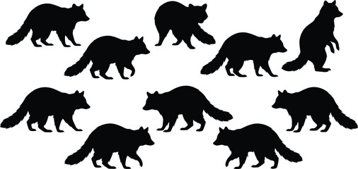 Fototapeta premium Black silhouette illustration of nine raccoons in walking, standing, and crouching poses, ideal for wildlife art, animal design, education, and decorative projects