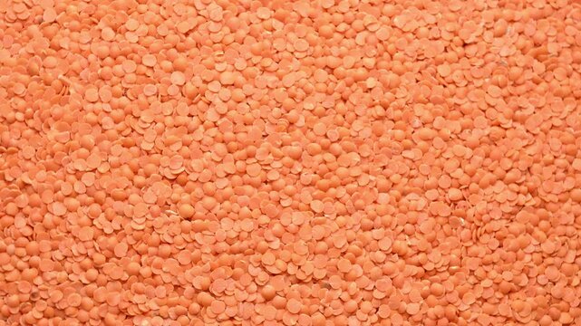 Rotating Top View of Masoor Dal (Red Lentils)&ndash; Pulses Texture Footage