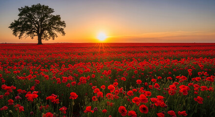Fototapeta premium Vibrant red poppy field at sunset, with a solitary tree. Symbolizes nature's beauty, peace, and the tranquility of an open landscape