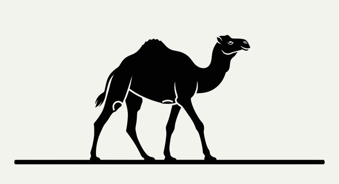 Black silhouette of a walking camel.
