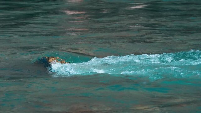 Water Splash on Turquoise River Surface &ndash; Dynamic Nature Background