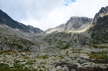 Fototapeta premium Beautiful mountain landscape with green trees under bright daylight, captured during summer in the High Tatras.