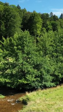 Tranquil summer scene of a green forest with a clear stream flowing through grassy countryside in the Morvan region. Vibrant natural landscape under a blue sky.