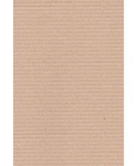 Piece of torn cardboard on a white background. Torn cardboard isolate. pedazo de carton arrugado