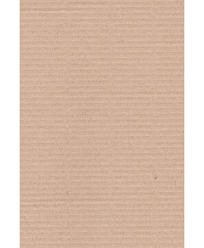 Piece of torn cardboard on a white background. Torn cardboard isolate. pedazo de carton arrugado
