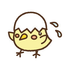 手書き風の生き物単品アイコンイラスト　ひよこ © nissat