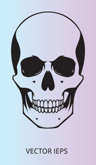 Fototapeta premium Detailed human skull illustration with shaded sides and clean design