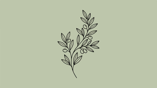 Elegant botanical illustration of olive branch on a neutral background.