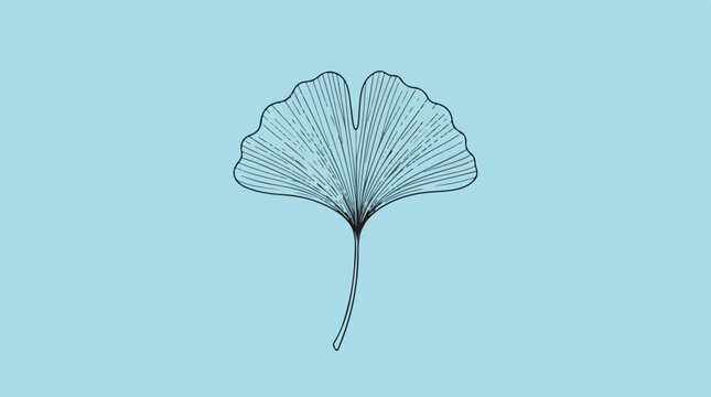 Ginkgo leaf illustration on a light blue background, simple design.