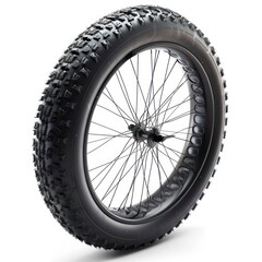 Fototapeta premium A clean bicycle tire transportation automobile machine.