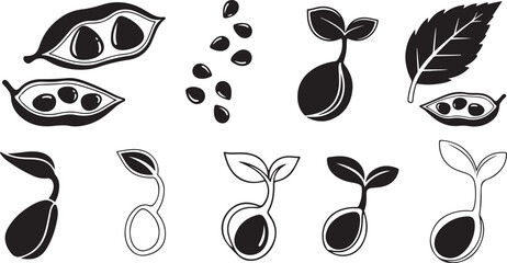 Fototapeta premium Black and white illustrations of plant seeds and leaves