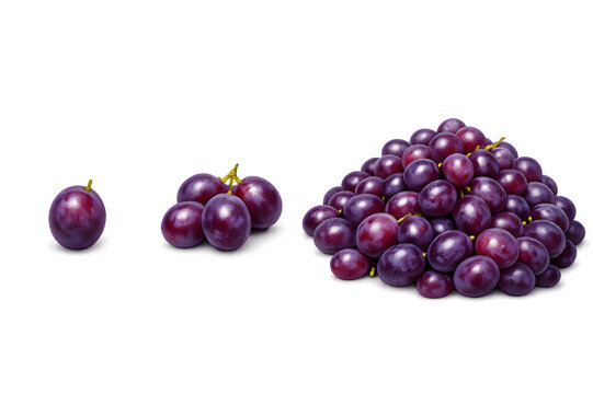 Grape Quantity Comparison &ndash; Single Grape, Small Bunch, and Large Pile of Purple Grapes