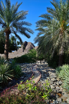  Al Bustan resort, Muscat. Oman