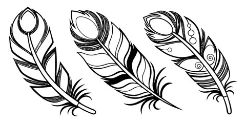 Obraz premium Three black and white feathers with intricate patterns and details