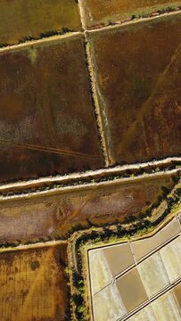 Drone shot of geometric salt evaporation ponds in Kampot, Cambodia, showcasing earthy textures and natural patterns.