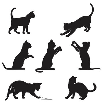 black silhouettes of cats