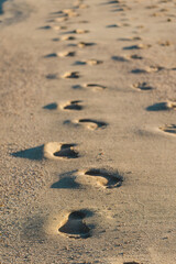 Human footprints in soft beach sand forming trail across shore at sunset light