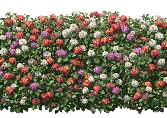 A dense, colorful, flowering hedge with a variety of vibrant blooms