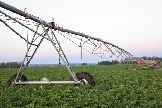 Wide view of center pivot irrigation system over green crop field, modern agriculture technology, farm water management, sustainable production.