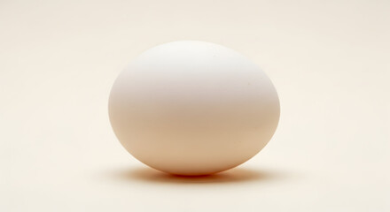 A close-up view of a single white egg on a plain background