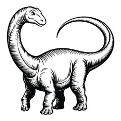 A detailed black and white illustration of a long necked sauropod dinosaur © FAS