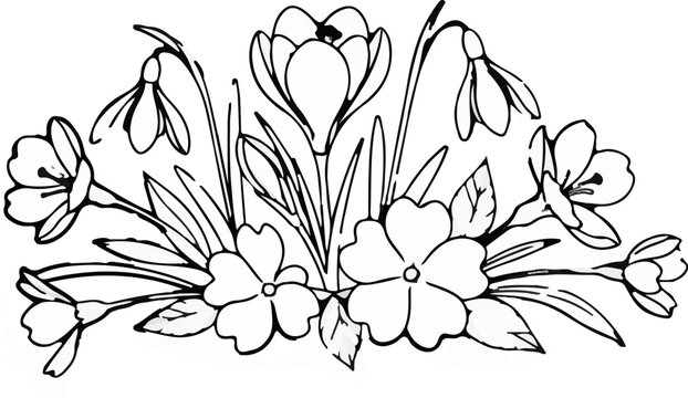 Delicate line art illustration of spring flowers, including crocuses, snowdrops, and primroses
