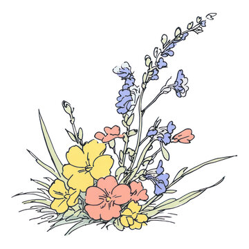 PNG Flower bouget flowers illustration sketch.