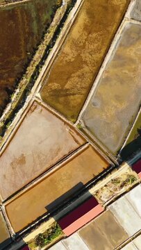 Drone shot of geometric salt evaporation ponds in the Kampot salt marshes, Cambodia, showcasing colorful patterns and natural textures.