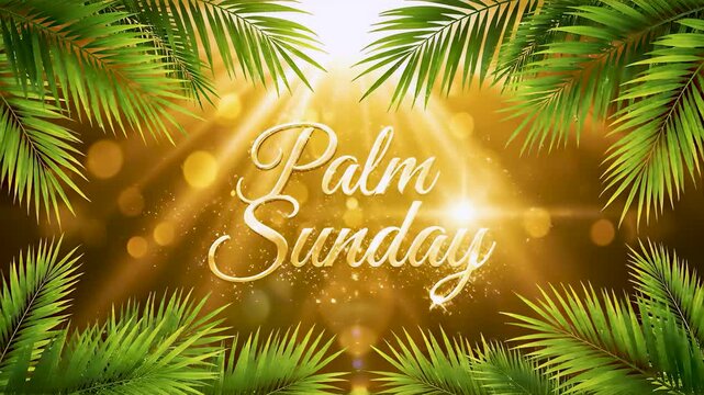 Golden Palm Sunday greeting animation with glowing light and palm leaves frame. Elegant Christian holiday background celebrating Holy Week, faith, and worship with festive religious atmosphere.