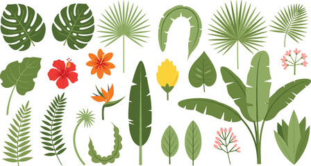 Tropical Jungle Leaves and Exotic Flowers Botanical Collection Featuring Monstera, Palm, Banana Leaves, Hibiscus, and Decorative Green Foliage Elements © MdMehedi