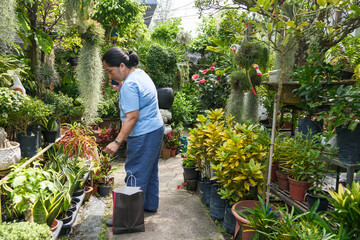 Gardener tends to plants in a vibrant green space in the afternoon sunlight near home in an urban area