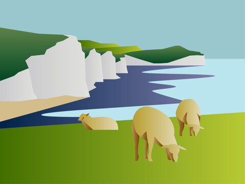 A minimalist flat-style vector illustration of white cliffs overlooking a blue sea, featuring sheep grazing on a green grassy hill in the foreground.