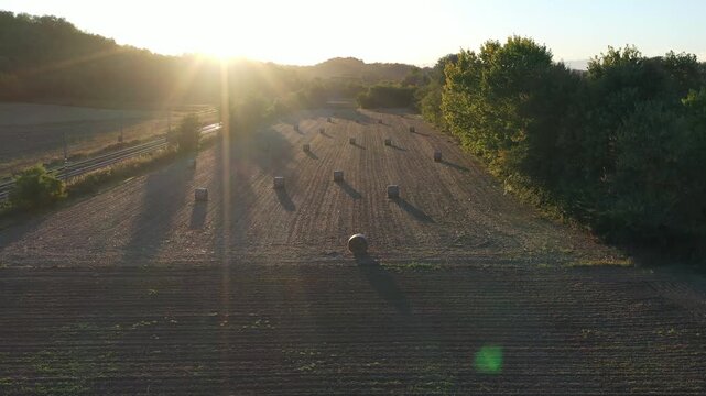 backlight view of a threshed field. Italy