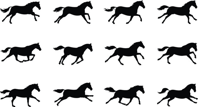 Running horse silhouettes collection with galloping equine poses, black animal vector set isolated on white background for wildlife, farm, logo and design projects
