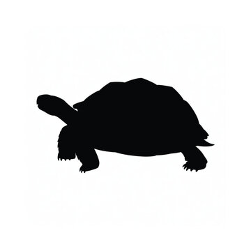 Silhouette of a howling wolf standing on a rocky outcrop