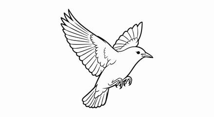 Obraz premium Line art of a bird in mid-flight with wings spread and tail feathers fanned