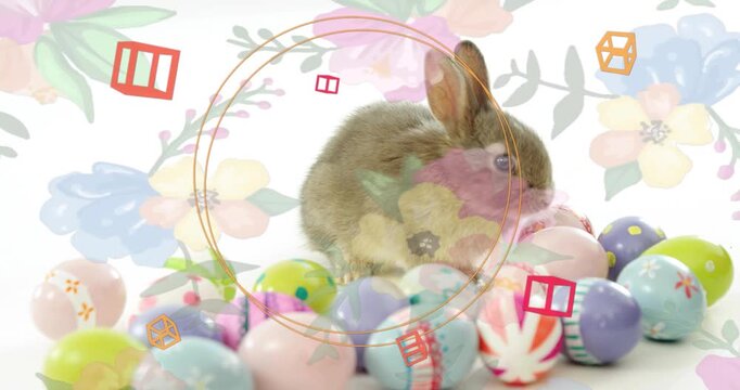 Brown rabbit shifting sniffing eggs as orange rings expand, red cubes drifting around for design