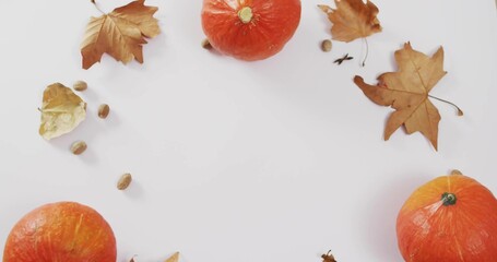 Fototapeta premium Autumn flat-lay featuring pumpkins, dried leaves, acorn seeds, twigs on flat white surface
